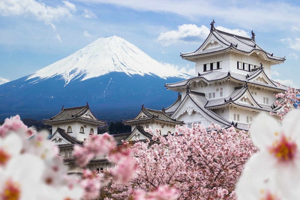 Tour Nhật Bản mùa hoa anh đào 2024